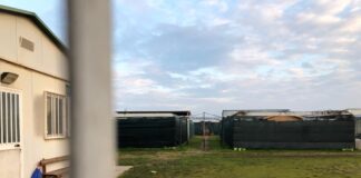 Colonie feline, da oggi è possibile chiedere il contributo Il gattile di Malamocco - foto di repertorio