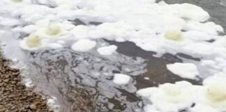 Schiuma nell’acqua del Piave, la denuncia di Zanoni