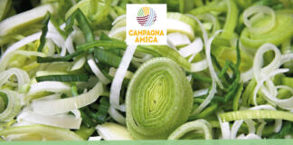 Campagna Amica, da domani si riapre a Conegliano