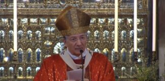 Il Patriarca di Venezia: ‘Tutto è Grazia’