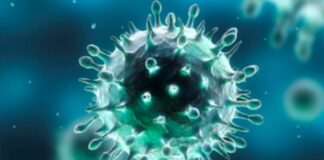 Calano di 25 unità i posti occupati in terapia intesiva