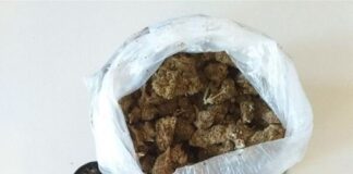 Droga nel cestino, segnalato un phone center a Treviso