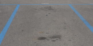 Parcheggio su strisce blu gratis, proroga al 30 settembre Parcheggio con stalli a strisce blu - foto di repertorio