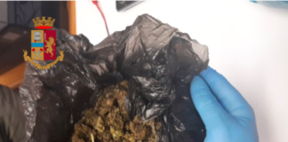 Getta la droga e tenta di scappare: denunciato involucro di plastica contenente marijuana