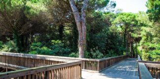 Il Parco Pineta a Jesolo diventa spazio per iniziative ed eventi Jesolo
