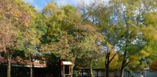 Pubblicato il bando per i Centri Estivi nel Comune di Venezia asilo nido