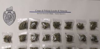 Pusher bloccato nei pressi del Parco Albanese con 30 bustine di marijuana la marijuana sequestrata