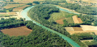Rischio idraulico sul Tagliamento, Borrelli scrive al sindaco Codognotto
