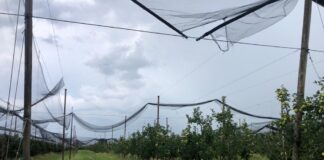 Agricoltori alle prese con la conta dei danni nelle strutture