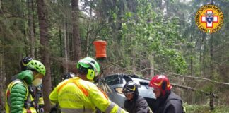 Vola nella scarpata con l’auto, veneziana in salvo