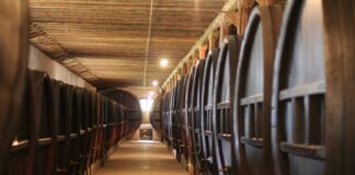 Cinema in cantina, stasera appuntamento nell’azienda agricola Giol