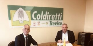 Apre oggi lo sportello di gestione del debito di Coldiretti Treviso