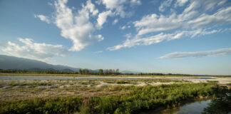 “In cammino” alla scoperta delle grave del Piave
