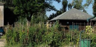 Bando assegnazione orti 2020 nell’area di Marghera: la presentazione delle domande scade il 18 settembre Orti nel Comune di Venezia