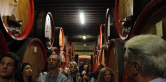 Cinema in cantina, stasera l’ultimo appuntamento a Roncade