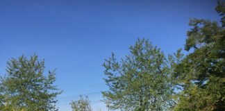 A Treviso ancora nuove aree per gli amici a quattro zampe