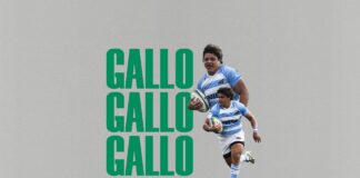 Benetton Rugby, Thomas Gallo veste la maglia biancoverde