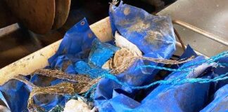 Chioggia: Coldiretti, Unife e pescatori uniti per pulire i fondali