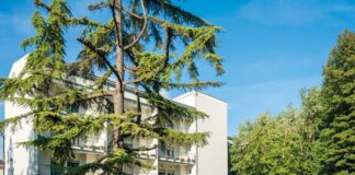 Portogruaro, Rsa Francescon Covid Free. Riparte il “Cafè Alzheimer”