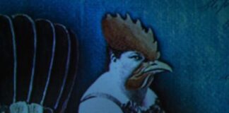 Nel weekend il teatro torna a Scorzè: Lucia Poli in Animalesse