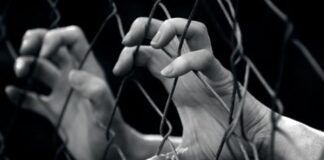 Giornata europea contro la tratta degli esseri umani, tutti gli appuntamenti a Treviso