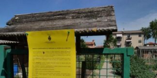 Bando 2021 per l’assegnazione degli orti urbani liberi a Marghera, da lunedì 15 febbraio il via alle domande Un orto urbano