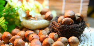 Olio di nocciola: le proprietà benefiche