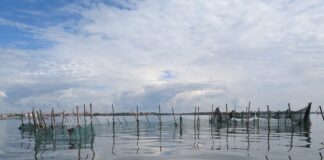 Laguna di Venezia, onde sonore per studiare l’habitat alle bocche di porto