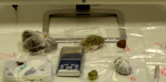 Marghera, le Volanti arrestano noto soggetto delle baby gang con 3 etti di hashish La droga e il materiale sequestrato dalla Polizia