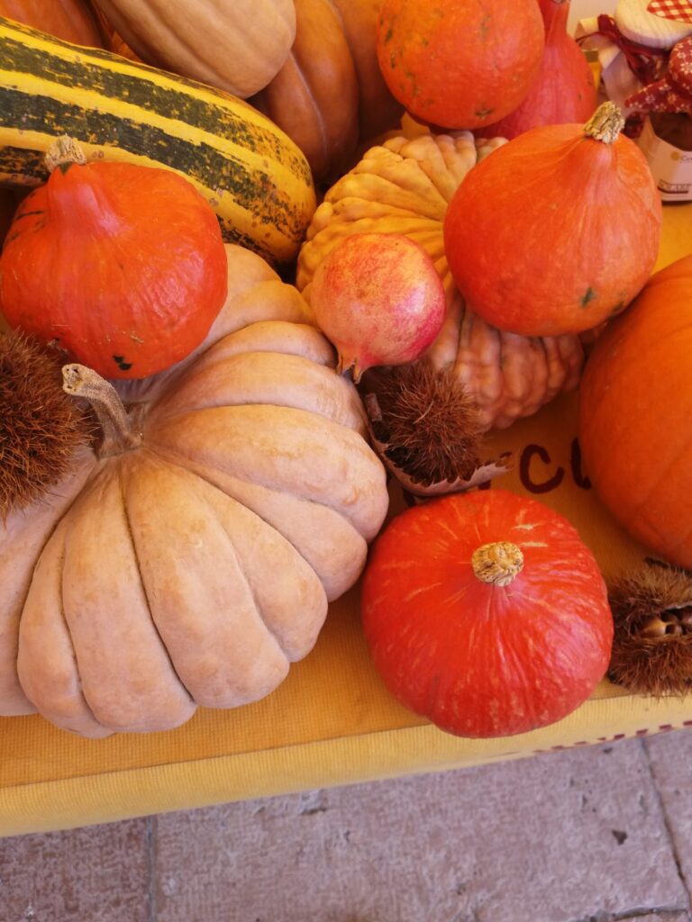 Varie tipologie di zucca