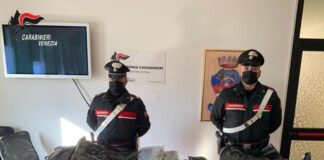 San Dona’: sequestrati oltre 30 chilogrammi di marijuana. Un arresto La marijuana sequestrata dai Carabinieri