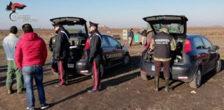 Lavoro nero e violazioni in materia di sicurezza e normativa anti contagio Covid 19: denunciato il titolare e sospesa l’attività I Carabinieri nel corso dell'operazione nell'azienda agricola di Musile di Piave