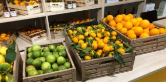Giorni della Merla: carica di vitamina C al Mercato Agricolo Coperto di Campagna Amica a Mestre arance, limoni e clementine