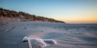 Plastica monouso: danni ambientali e alla salute