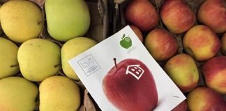 Le mele che fanno bene arrivano a casa, il Consorzio si reinventa e diventa “delivery”