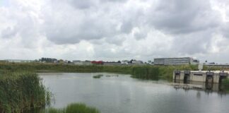 Terza corsia dell’A4, i bacini idraulici diventano “oasi” per gli uccelli