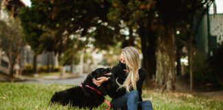 I cani fiutano il coronavirus?