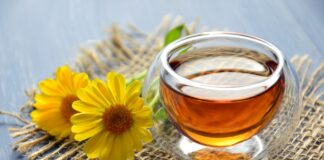 Tisane: quali bere per depurare l’organismo