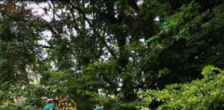 Operazione “Napoleon”, chiuse le indagini: tre pusher in carcere per spaccio. Sequestrate dosi per 130mila euro La Polizia Locale dell'Operazione Napoleon