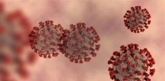 Dieci decessi nella casa di riposo Gianni Marin di Ponte di Piave covid