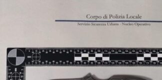 Mestre, tre persone denunciate in altrettante operazioni della Polizia Locale nelle ultime ore Uno dei coltelli sequestrati