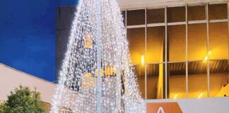 Panettoni per i Covid point della Marca