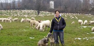 Transumanza, pastore e malgare di Coldiretti tracciano le mappe dei nuovi cammini Una pastora