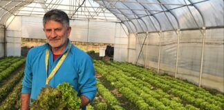 Coltivazione biodinamica a Venezia: la testimonianza dell’Azienda Miola Francesco Miola