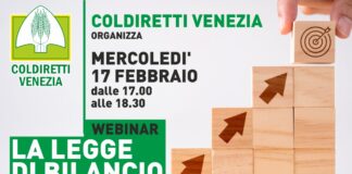 Agevolazioni fiscali, filiere e giovani, quanto è previsto per l’agricoltura in un convegno webinar di Coldiretti Venezia La locandina dell'evento webinar di Coldiretti Venezia