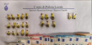 Arrestato in via Carducci a Mestre un trentatreenne con l’accusa di spaccio di eroina La droga e il denaro sequestrati