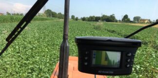 Barbabietole da zucchero: un contributo per incentivare la coltivazione Un campo di barbabietole da zucchero