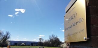 XXVI Giornata nazionale della memoria e dell’impegno in ricordo delle vittime innocenti delle mafie: l’iniziativa del Comune di Mirano Il Parco "Francesca Morvillo" a Mirano
