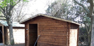 Treviso più bella e accessibile: ecco tutti i lavori in programma