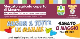 Domani al mercato agricolo coperto di Mestre attesi insegnanti e bambini per la consegna dei disegni del concorso “L’energia S©olare”